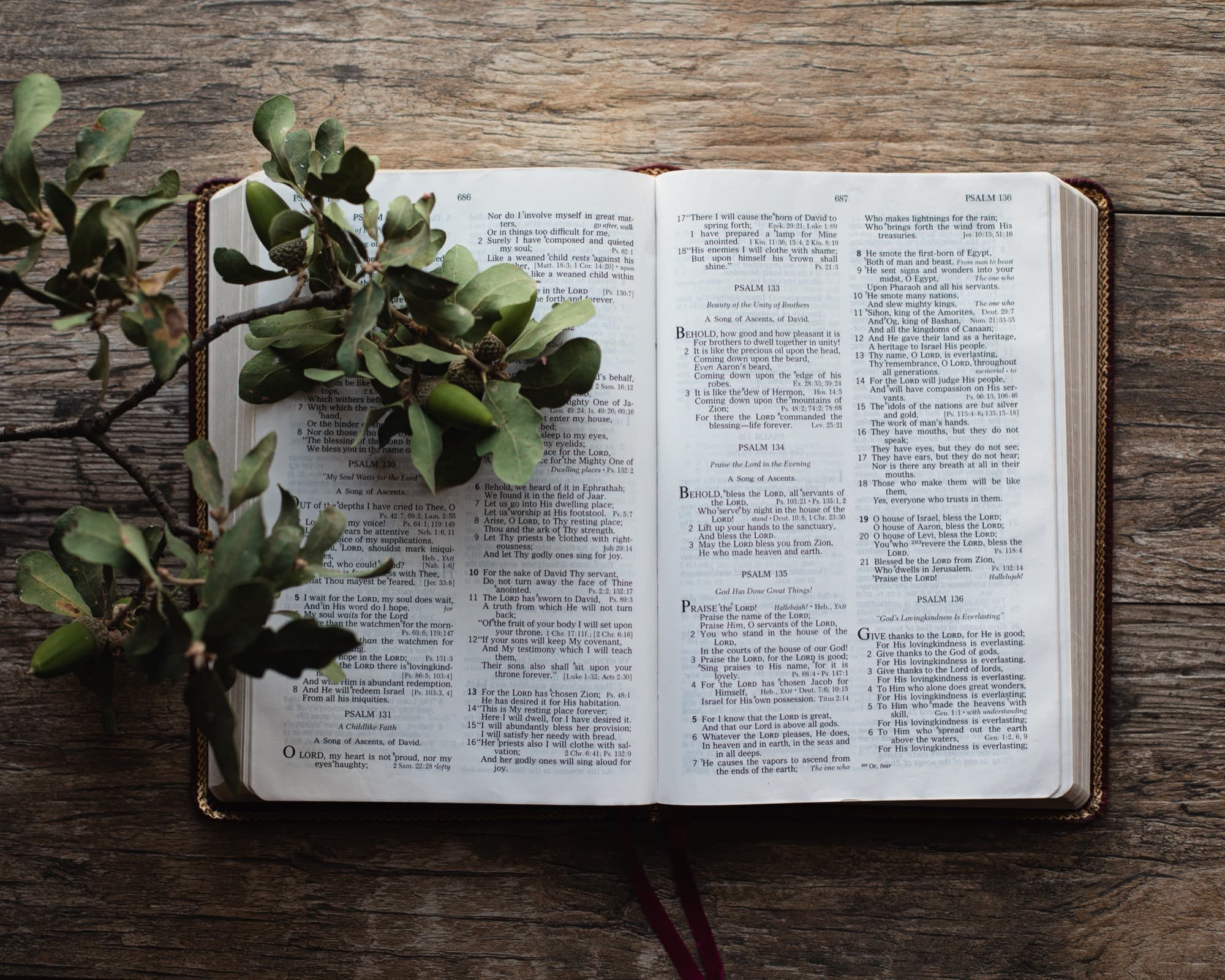 An open Bible resting beside a sprig of greenery