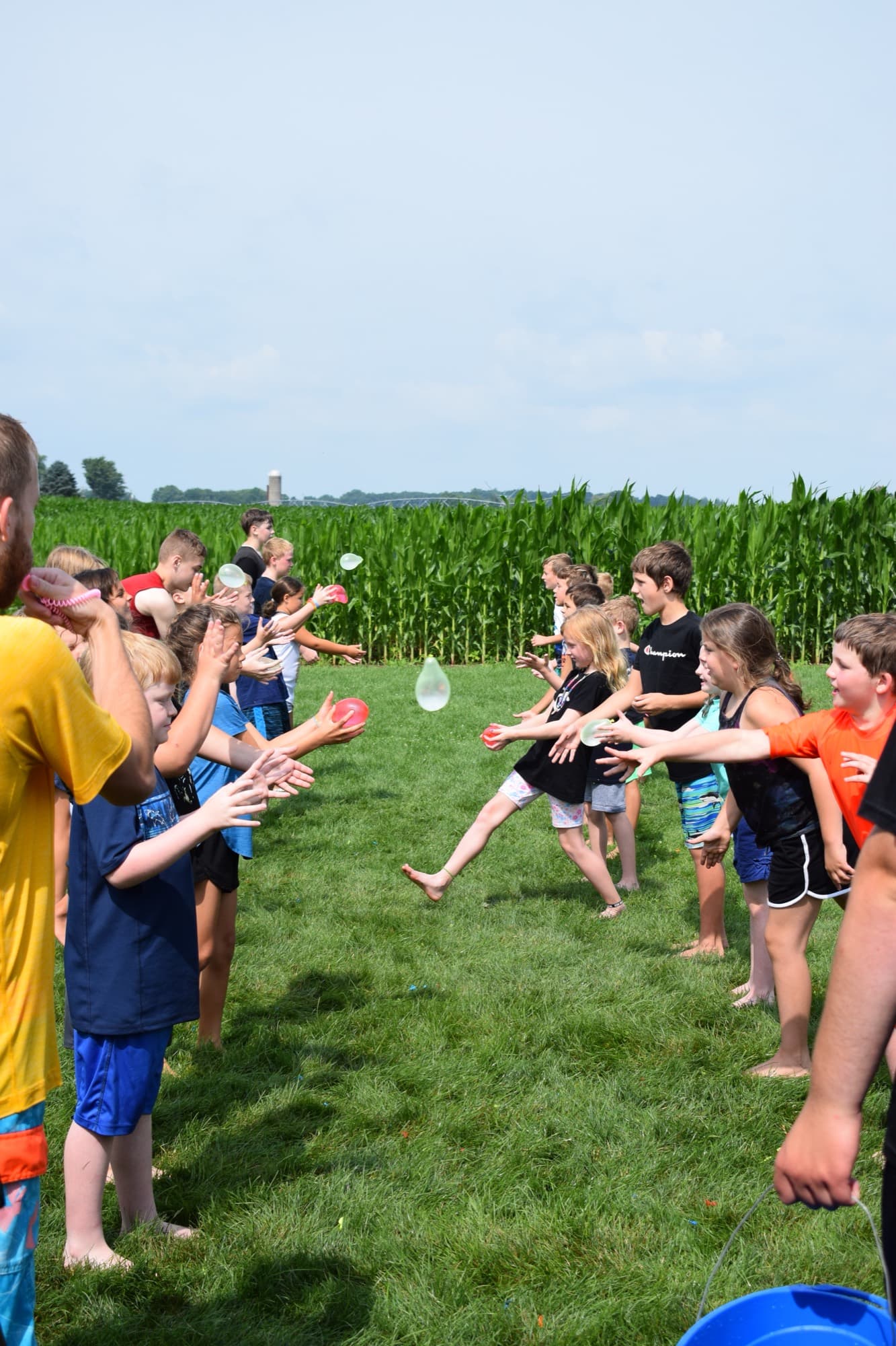 Children playing a game on the lawn beside the cornfield